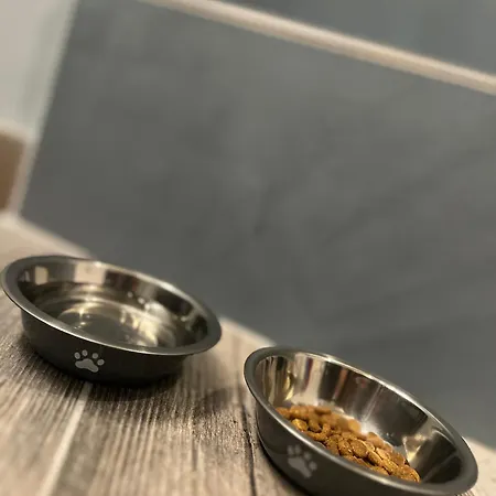 Collacchio 24 Casa vacanze